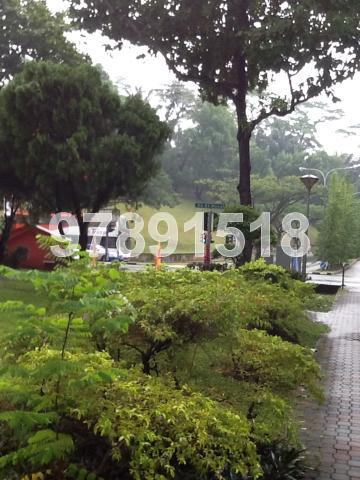 Blk 149 Silat Avenue (Bukit Merah), HDB 4 Rooms #74579402